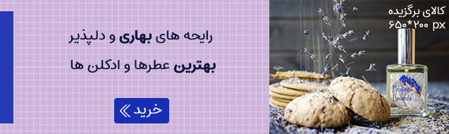 ادوپرفیوم زنانه کریس ادامز مدل Active